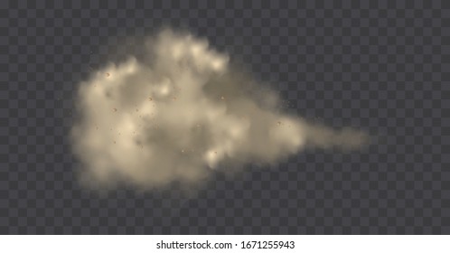 Dust cloud with particles with dirt,cigarette smoke, smog, soil and sand  particles. Realistic vector isolated on transparent background. Concept house cleaning, air pollution,big explosion,desert .
