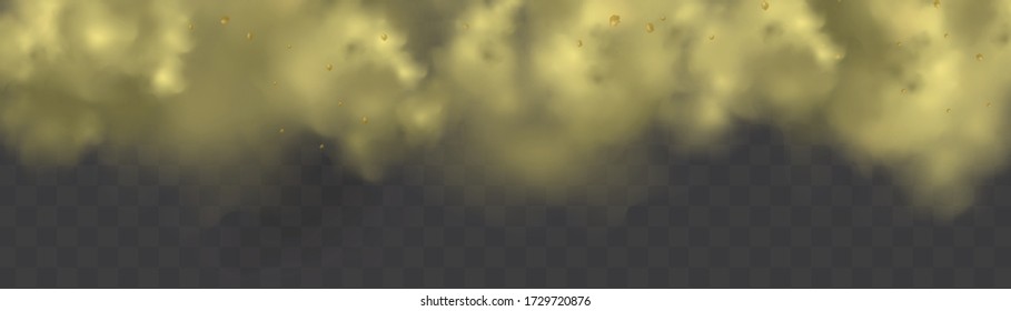 Nubes de polvo con partículas de suciedad, humo de cigarrillos, smog, suelo y partículas de arena. Vector realista aislado en un fondo transparente. Limpieza domiciliaria, contaminación del aire, gran explosión.
