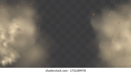 Dust cloud with particles with dirt,cigarette smoke, smog, soil and sand  particles. Realistic vector isolated on transparent background. Concept house cleaning, air pollution,big explosion.
