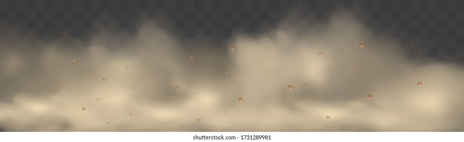 Staubwolke mit Partikeln aus Schmutz, Zigarettenrauch, Smog, Boden und Sandpartikeln. Realistischer Vektor isoliert auf transparentem Hintergrund. Hausreinigung, Luftverschmutzung, große Explosion.
