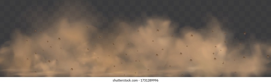 Dust cloud with particles with dirt,cigarette smoke, smog, soil and sand  particles. Realistic vector isolated on transparent background. Concept house cleaning, air pollution,big explosion.
