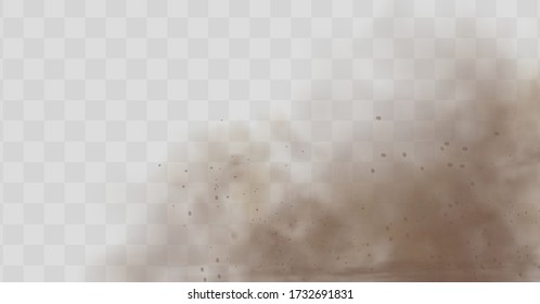 Dust cloud with particles with dirt,cigarette smoke, smog, soil and sand  particles. Realistic vector isolated on transparent background. Concept house cleaning, air pollution,big explosion.
