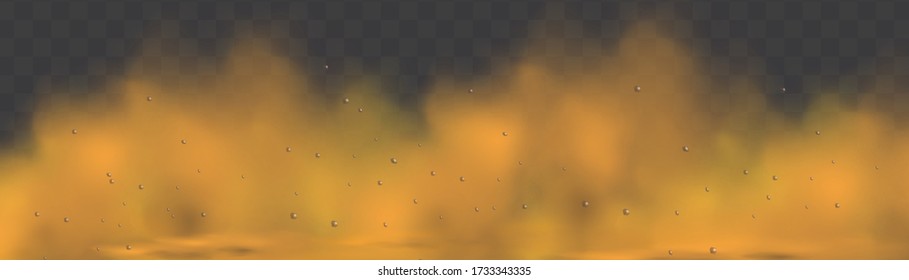 Dust cloud with particles with dirt,cigarette smoke, smog, soil and sand  particles. Realistic vector isolated on transparent background. Concept house cleaning, air pollution,big explosion.

