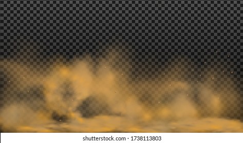 Dust cloud with particles with dirt,cigarette smoke, smog, soil and sand  particles. Realistic vector isolated on transparent background. 