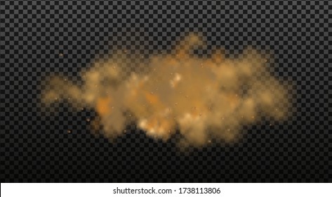 Dust cloud with particles with dirt,cigarette smoke, smog, soil and sand  particles. Realistic vector isolated on transparent background. 