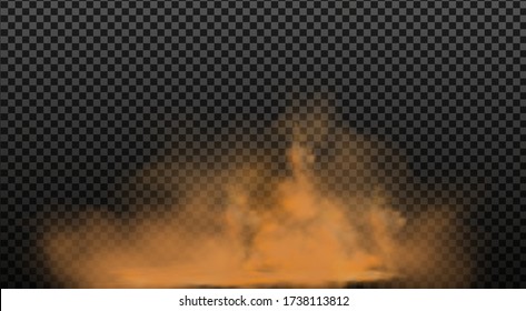 Nubes de polvo con partículas de suciedad, humo de cigarrillos, smog, suelo y partículas de arena. Vector realista aislado en un fondo transparente. 