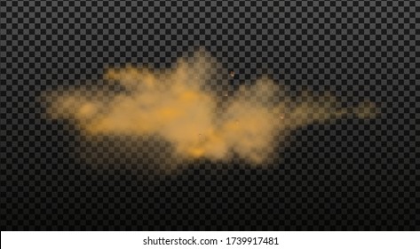 Dust cloud with particles with dirt,cigarette smoke, smog, soil and sand  particles. Realistic vector isolated on transparent background. Concept house cleaning, air pollution,big explosion.
