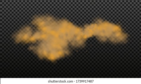 Dust cloud with particles with dirt,cigarette smoke, smog, soil and sand  particles. Realistic vector isolated on transparent background. Concept house cleaning, air pollution,big explosion.
