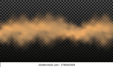 Dust cloud with particles with dirt,cigarette smoke, smog, soil and sand  particles. Realistic vector isolated on transparent background. Concept house cleaning, air pollution,big explosion.
