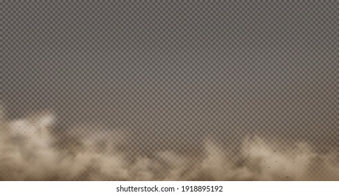 Dust cloud with particles with dirt,cigarette smoke, smog, soil and sand particles. Realistic vector isolated on transparent background. 