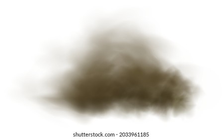 Dust cloud with particles with dirt,cigarette smoke, smog, soil and sand  particles. Realistic vector isolated on transparent background. Concept house cleaning, air pollution,big explosion.
