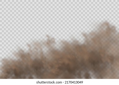 Nubes de polvo con partículas de suciedad, humo de cigarrillos, smog, suelo y partículas de arena. Vector realista aislado en un fondo transparente. Limpieza domiciliaria, contaminación del aire, gran explosión, desierto.
