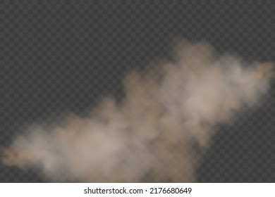 Dust cloud with particles with dirt,cigarette smoke, smog, soil and sand  particles. Realistic vector isolated on transparent background. Concept house cleaning, air pollution,big explosion.
