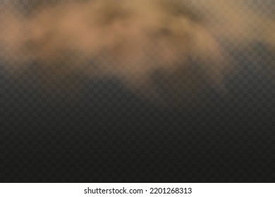 Dust cloud with particles with dirt,cigarette smoke, smog, soil and sand  particles. Realistic vector isolated on transparent background. Concept house cleaning, air pollution,big explosion.