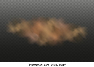 Dust Cloud With Particles With Dirt,cigarette Smoke, Smog, Soil And Sand  Particles. Realistic Vector Isolated On Transparent Background. Concept House Cleaning, Air Pollution,big Explosion.
