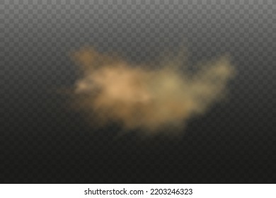 Dust Cloud With Particles With Dirt,cigarette Smoke, Smog, Soil And Sand  Particles. Realistic Vector Isolated On Transparent Background. Concept House Cleaning, Air Pollution,big Explosion.
