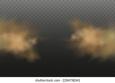 Dust Cloud With Particles With Dirt,cigarette Smoke, Smog, Soil And Sand  Particles. Realistic Vector Isolated On Transparent Background. Concept House Cleaning, Air Pollution,big Explosion.
