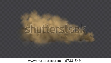 Dust cloud with particles with dirt,cigarette smoke, smog, soil and sand  particles. Realistic vector isolated on transparent background. Concept house cleaning, air pollution,big explosion,desert .
