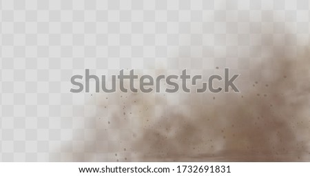 Dust cloud with particles with dirt,cigarette smoke, smog, soil and sand  particles. Realistic vector isolated on transparent background. Concept house cleaning, air pollution,big explosion.
