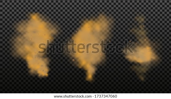 Dust cloud with particles with
dirt,cigarette smoke, smog, soil and sand  particles. Realistic
vector isolated on transparent background. Concept house cleaning,
air pollution,big
explosion.
