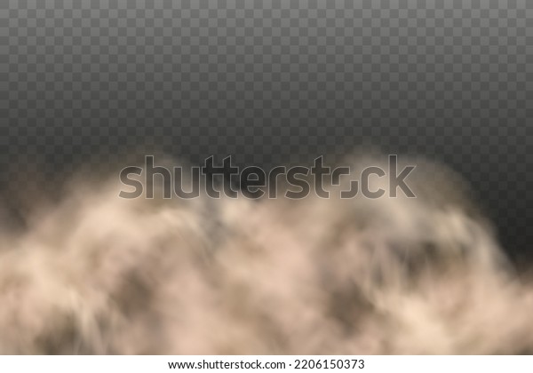 Dust cloud with particles with\
dirt,cigarette smoke, smog, soil and sand  particles. Realistic\
vector isolated on transparent background. Concept house cleaning,\
air pollution,big\
explosion,desert.\

