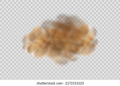 Dust cloud with particles,cigarette smoke, smog, soil and sand  particles. Realistic vector isolated on transparent background. Concept house cleaning, air pollution,big explosion.
