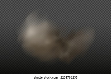  Dust cloud with particles,dirt,cigarette smoke, smog, soil and sand. Realistic vector isolated on transparent background. Concept house cleaning, air pollution,big explosion,desert sandstorm.
