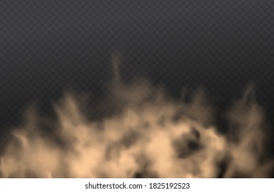 Dust, cloud of sand, powder spray, smog on transparent background. Realistic vector illustration