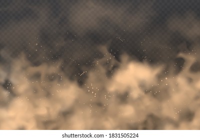 Dust, cloud of sand, powder spray, smog on transparent background. Realistic vector illustration