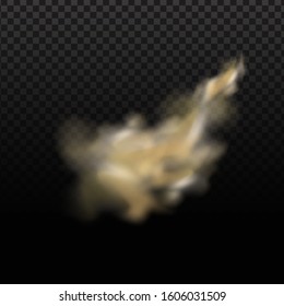 Dust cloud, sand storm, powder spray on transparent background. Desert wind with cloud of dust and sand. Realistic vector illustration
