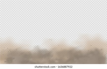 Dust cloud, sand storm, powder spray on transparent background. Desert wind with cloud of dust and sand. Realistic vector illustration