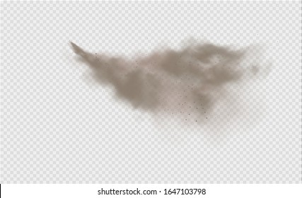 Dust cloud, sand storm, powder spray on transparent background. Desert wind with cloud of dust and sand. Realistic vector illustration