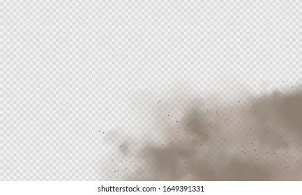Dust cloud, sand storm, powder spray on transparent background. Desert wind with cloud of dust and sand. Realistic vector illustration