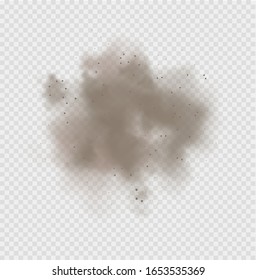 Dust cloud, sand storm, powder spray on transparent background. Desert wind with cloud of dust and sand. Realistic vector illustration