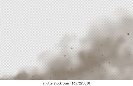 Dust cloud, sand storm, powder spray on transparent background. Desert wind with cloud of dust and sand. Realistic vector illustration