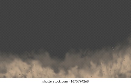 Staubwolke, Sandsturm, Pulverspray auf transparentem Hintergrund. Wüstenwind mit Staub- und Sandwolke. Realistische Vektorillustration-Illustration