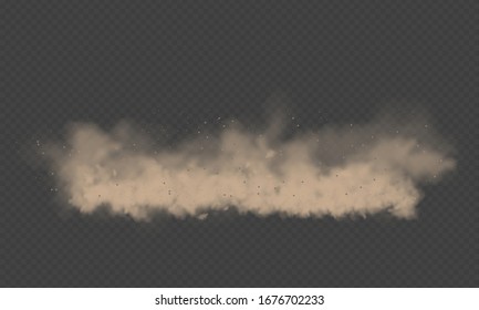 Dust cloud, sand storm, powder spray on transparent background. Desert wind with cloud of dust and sand. Realistic vector illustration