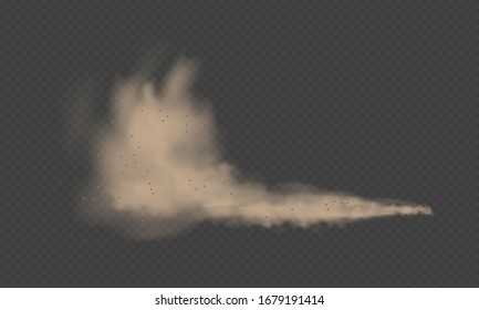 Dust Cloud, Sand Storm, Powder Spray On Transparent Background. Desert Wind With Cloud Of Dust And Sand. Realistic Vector Illustration