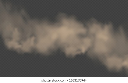 Dust Cloud, Sand Storm, Powder Spray On Transparent Background. Desert Wind With Cloud Of Dust And Sand. Realistic Vector Illustration