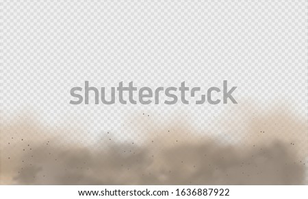 Dust cloud, sand storm, powder spray on transparent background. Desert wind with cloud of dust and sand. Realistic vector illustration