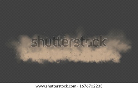Dust cloud, sand storm, powder spray on transparent background. Desert wind with cloud of dust and sand. Realistic vector illustration