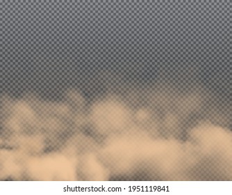 Nubes de arena, fondo de aire de humo y suciedad, smog de polvo sucio vectorial. Tormenta de polvo transparente, nubes de niebla marrón y salpicaduras polvorientas de contaminación del suelo, niebla o barro y tormenta de arena viento realista