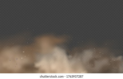 Dust explosion, sandstorm, powder burs on transparent background. Desert wind with cloud of dust and sand. Realistic pouder of desert and stone vector illustration