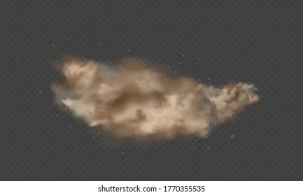 Dust explosion, sandstorm, powder burs on transparent background. Desert wind with cloud of dust and sand. Realistic pouder of desert and stone vector illustration