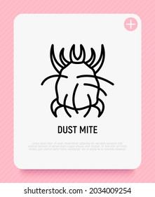 Dust mite thin line icon. Modern vector illustration.