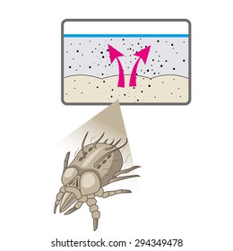 Dust mites parasite Warning sign. Close up of a house mite Vector set. Dust mites in bed. Mites allergy.