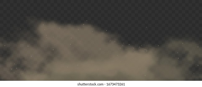 Dust rises with dirt particles. Dirty smoke texture or cloud of factory smog on transparent background. 3d realistic cloud of dust. Air pollution concept. Vector.