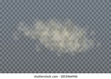 Staubsandwolke mit Partikel mit Schmutz, Zigarettenrauch, Smog, Boden und   Partikel.Vektorgrafik einzeln auf transparentem Hintergrund. Konzeption Hausreinigung, Luftverschmutzung, große Explosion, Wüstensandsturm.
