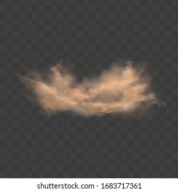 Dust sand cloud with stones and flying dusty particles isolated on transparent background. Desert sandstorm. Realistic vector illustration