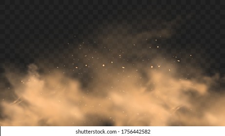 Dust sand cloud with stones and flying dusty particles isolated on transparent background. Desert sandstorm. Realistic vector illustration